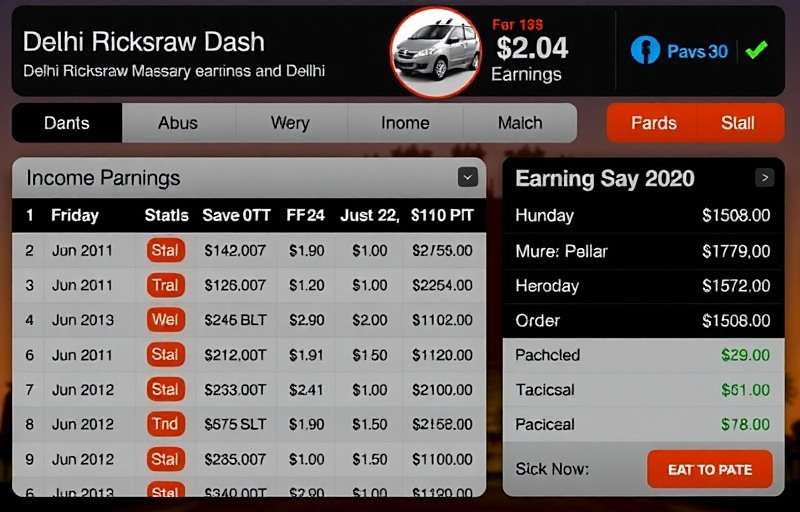 Delhi Rickshaw Dash Earnings Tracking Delhi Rickshaw Dash earnings screen showing daily income breakdown